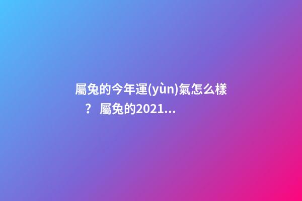 屬兔的今年運(yùn)氣怎么樣？ 屬兔的2021年運(yùn)勢如何，2021年屬兔人的全年運(yùn)勢如何？